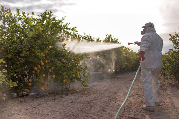 Wildlife Control Services in Enetai, WA